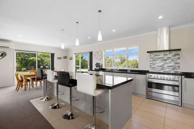 249 Curraghs Road Rolleston_4