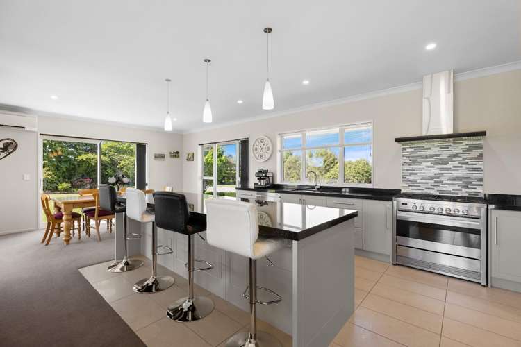 249 Curraghs Road Rolleston_3