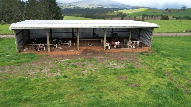 619 Rakauwahia Road Kaikohe_8