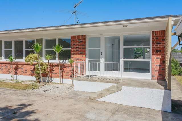 13b Saint Lukes Road Mount Albert_2