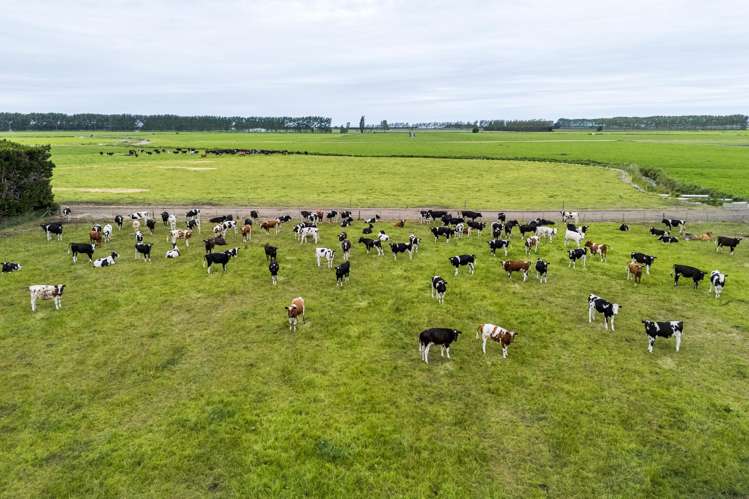 94 Brogdens Road Lowcliffe_10