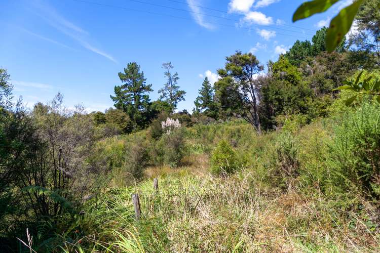 15 Onekaka Iron Works Road Kahurangi National Park_6