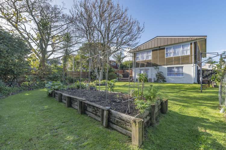 29 Fairview Avenue Opaheke_21