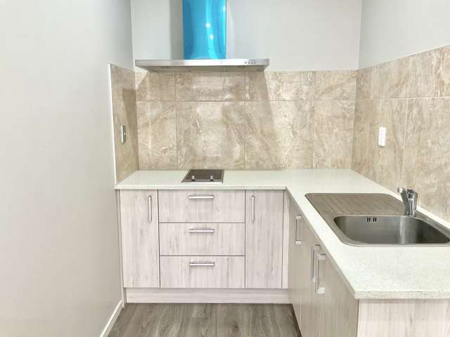 20 Ballindrait Drive Flat Bush_2