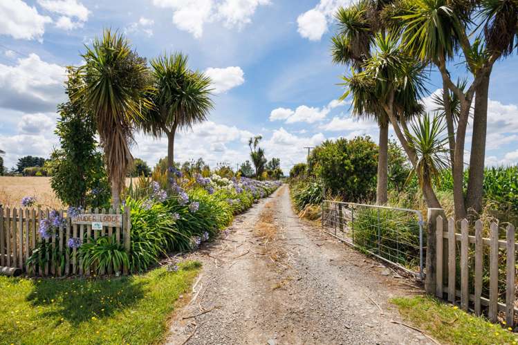 176 Colemans Road Marton_7