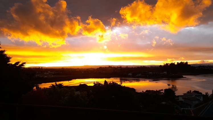 124 Haukore Street Hairini_19