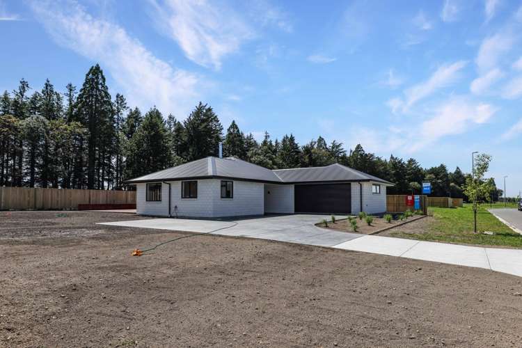 36 Arrowsmith Drive Methven_32