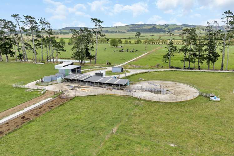 1067 Hoanga Road Dargaville_1