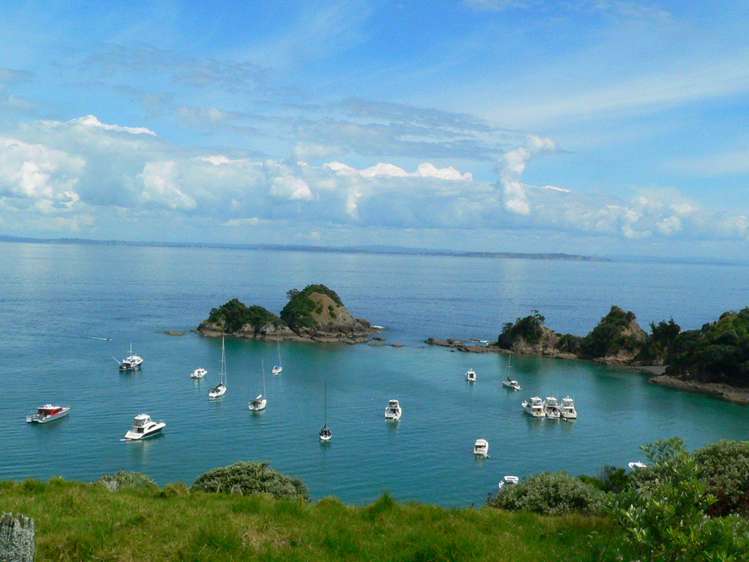 30 Woody Bay Road Rakino Island_1