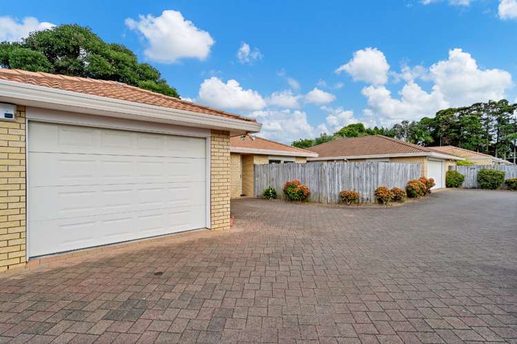 29a Riversdale Road Avondale_18