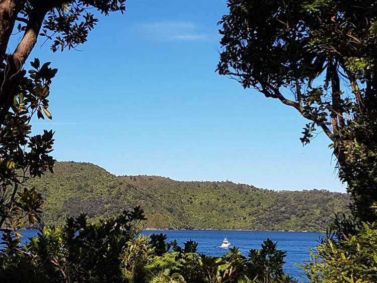 Torea Moua Bay Marlborough_8