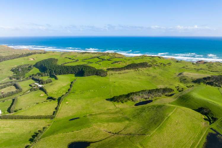 386 Rehutai Road Dargaville Surrounds_18