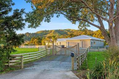 1331 Whangaripo Valley Road_4