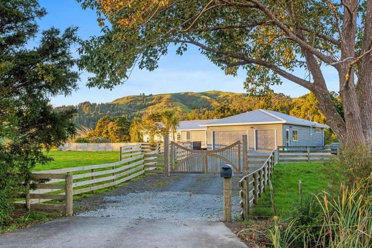 1331 Whangaripo Valley Road_4