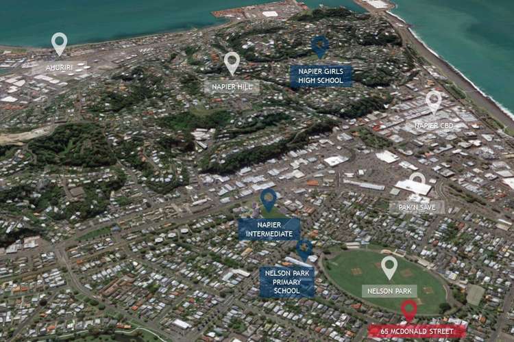 65 Mcdonald Street Napier South_15