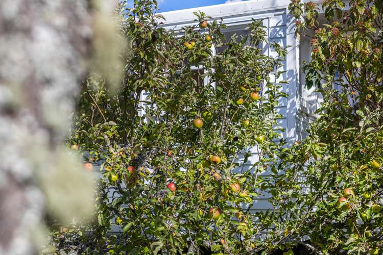 22 Kaitawa Crescent Paraparaumu_30