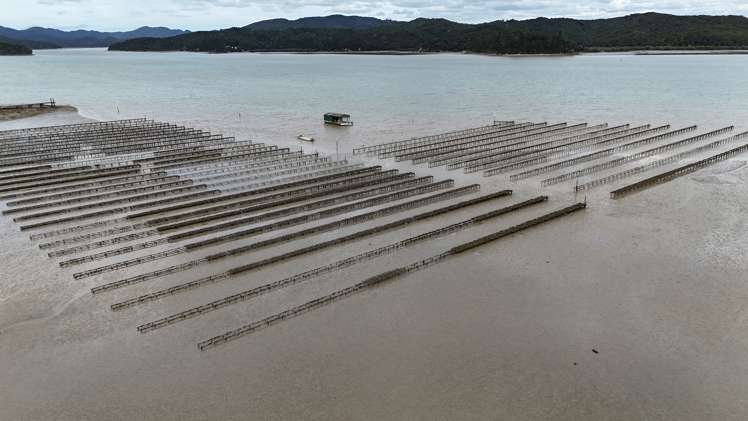 Waikare Inlet Opua_8