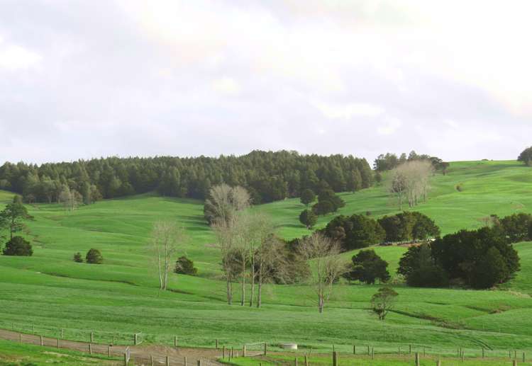 176 Prictor Road Wellsford_7