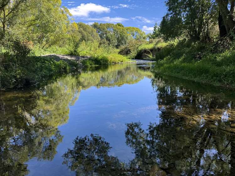 59 Rands Road Fernside_29