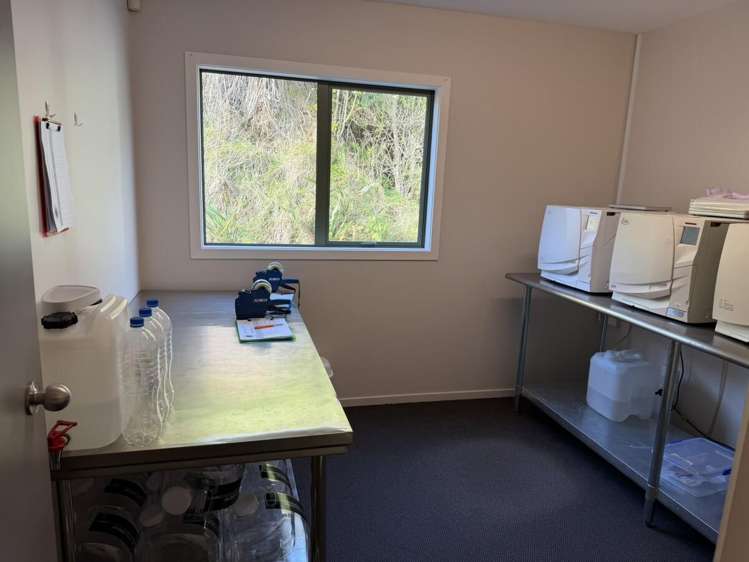 1a Sunley Street, Westown Westown_6