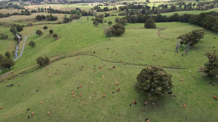 1387 State Highway 1 Okaihau_2