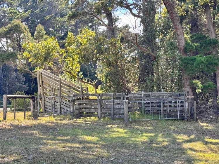 494 Henderson Bay Road Houhora_39