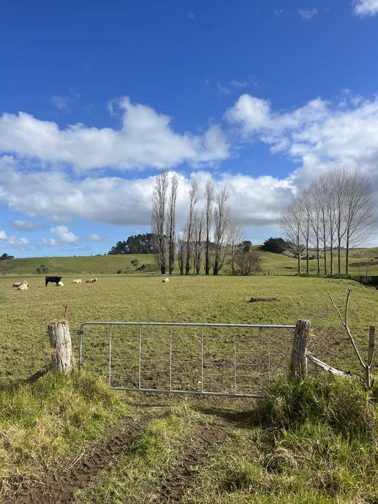 317 Fairburn Road Kaitaia Rd2_18