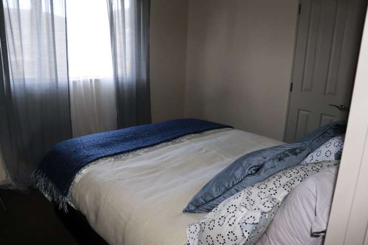 88 Crawford Hills Road Alexandra_10