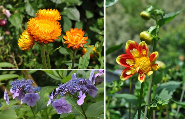 318 Franklin Road Paparoa_69