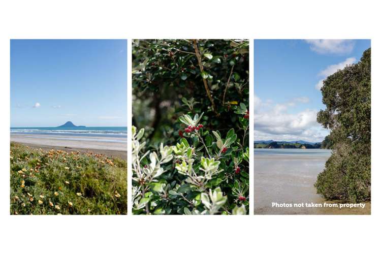 52 Waterways Drive Ohope_22