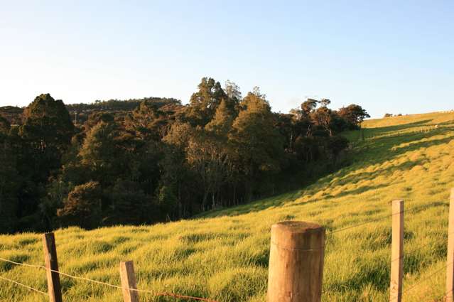 56e Kaipara Coast Highway Helensville_3