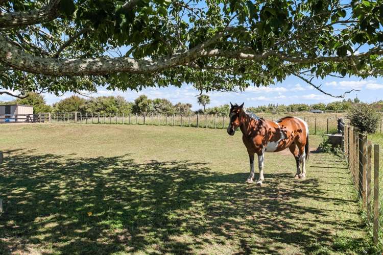 253 Waiau Pa Road Waiau Pa_1