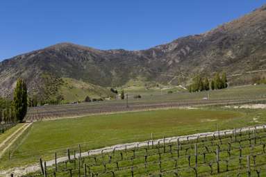 Lot 1/172 Gibbston Back Road_2