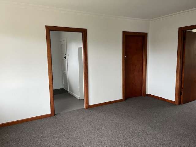 86A Cameron Road Te Puke_4