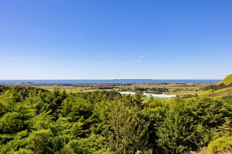 197 Reid Road Papamoa_23