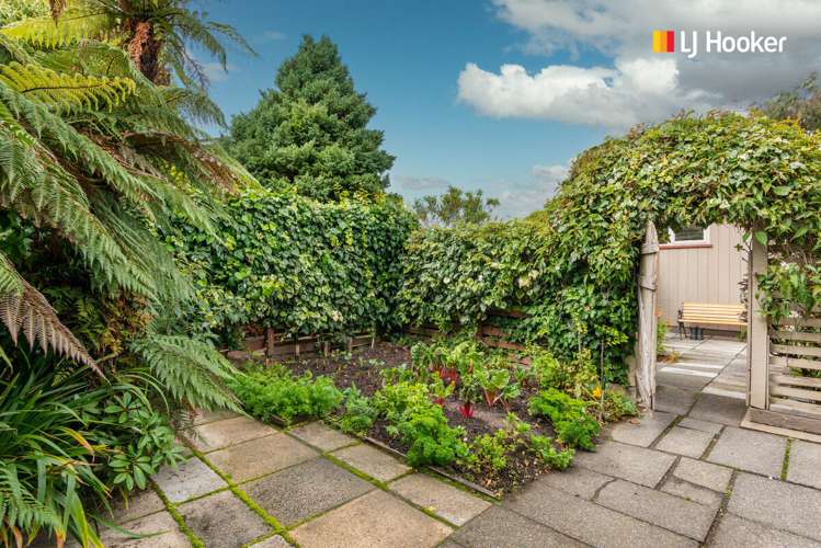 117 London Street Dunedin Central_19