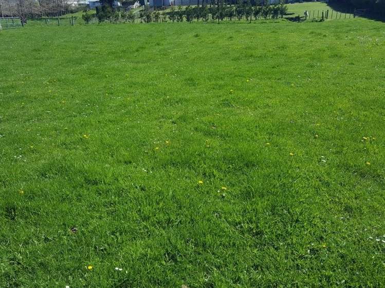 27 Celia Street Stratford_12