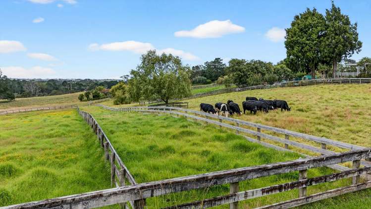 11 Tawa Road Kumeu_16