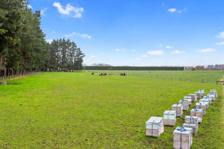 25 Waiau West Road Cheviot_18