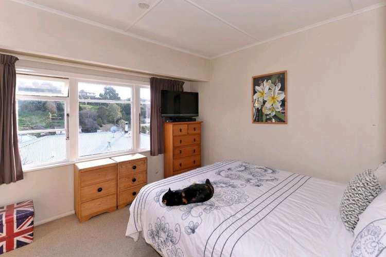 41a Emano Street Toi Toi_8