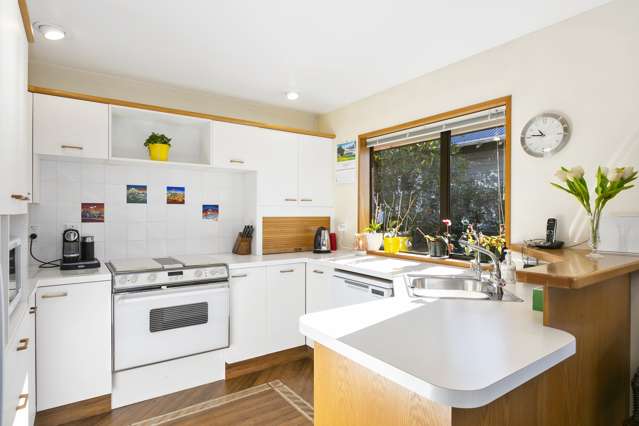 538 Highgate Maori Hill_1