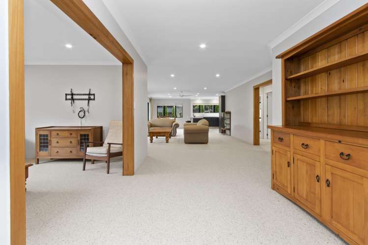 29 Williamson Street 11373_8