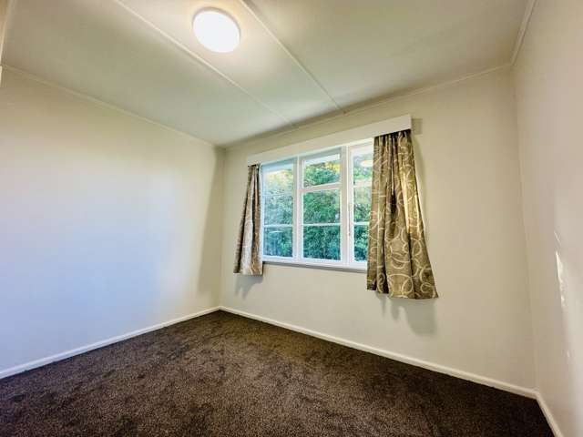 25 Morrie Laing Ave Mount Roskill_4