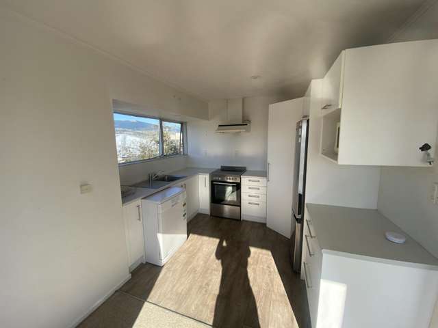 4a Roto Street 1874_2