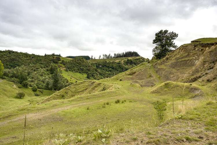 4332 Puketitiri Road Hastings Country_16