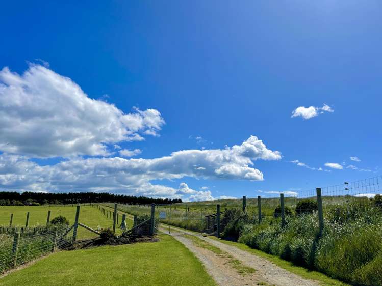 964 Waianakarua Road Herbert_29