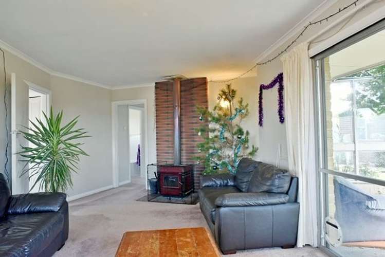 11 Campbell Street Alexandra_7