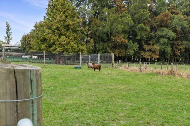 141 Centennial Avenue Te Aroha_21
