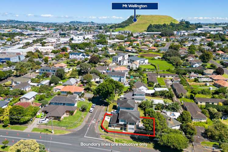 11 Te Hana Road Panmure_22
