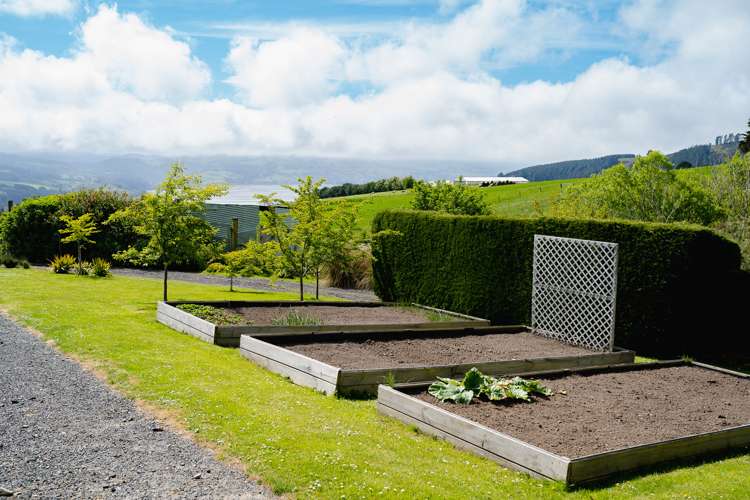 942 Blueskin Road Mount Cargill_19